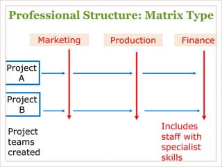 Professional English and Formal Structures | PDF