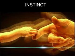 Communication Barriers Between Teacher And Student