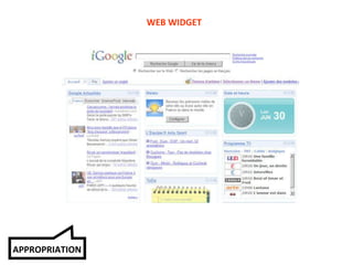 WEB WIDGET APPROPRIATION 