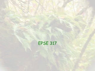 EPSE 317 