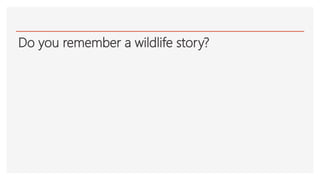 Do you remember a wildlife story?
 