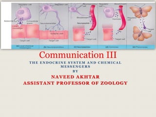 T H E E N D O C R I N E S Y S T E M A N D C H E M I C A L
M E S S E N G E R S
B Y
NAVEED AKHTAR
ASSISTANT PROFESSOR OF ZOOLOGY
Communication III
 