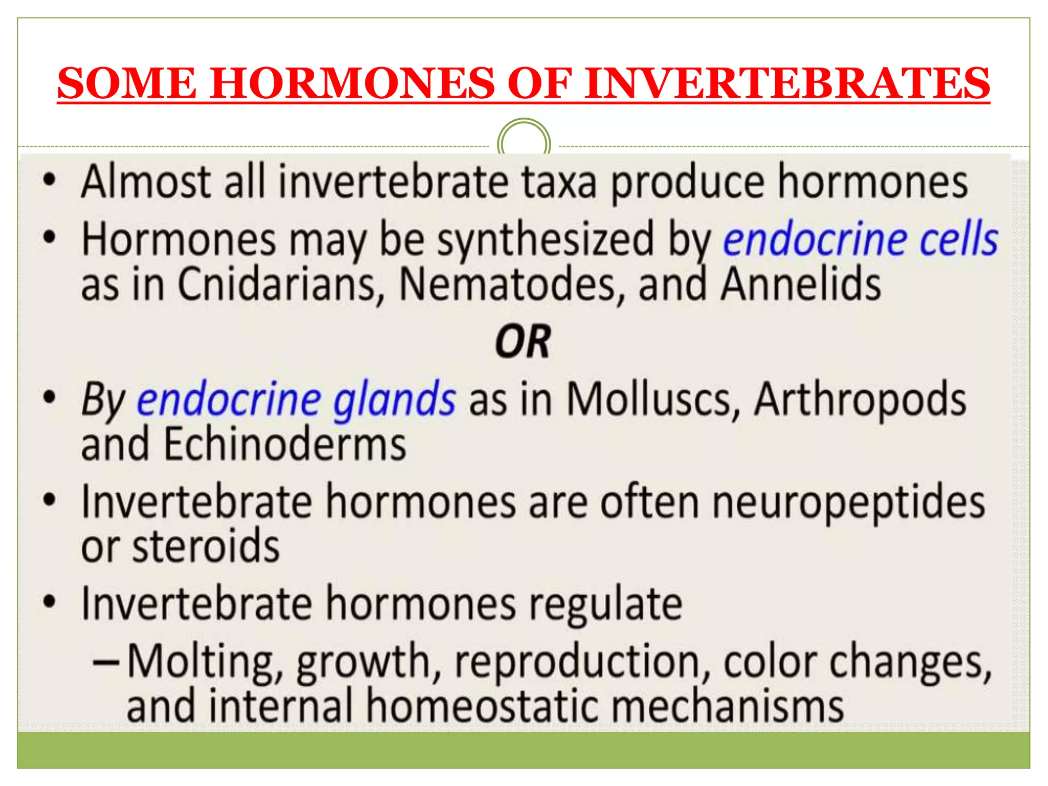 The Endocrine System and Chemical Messengers PPT