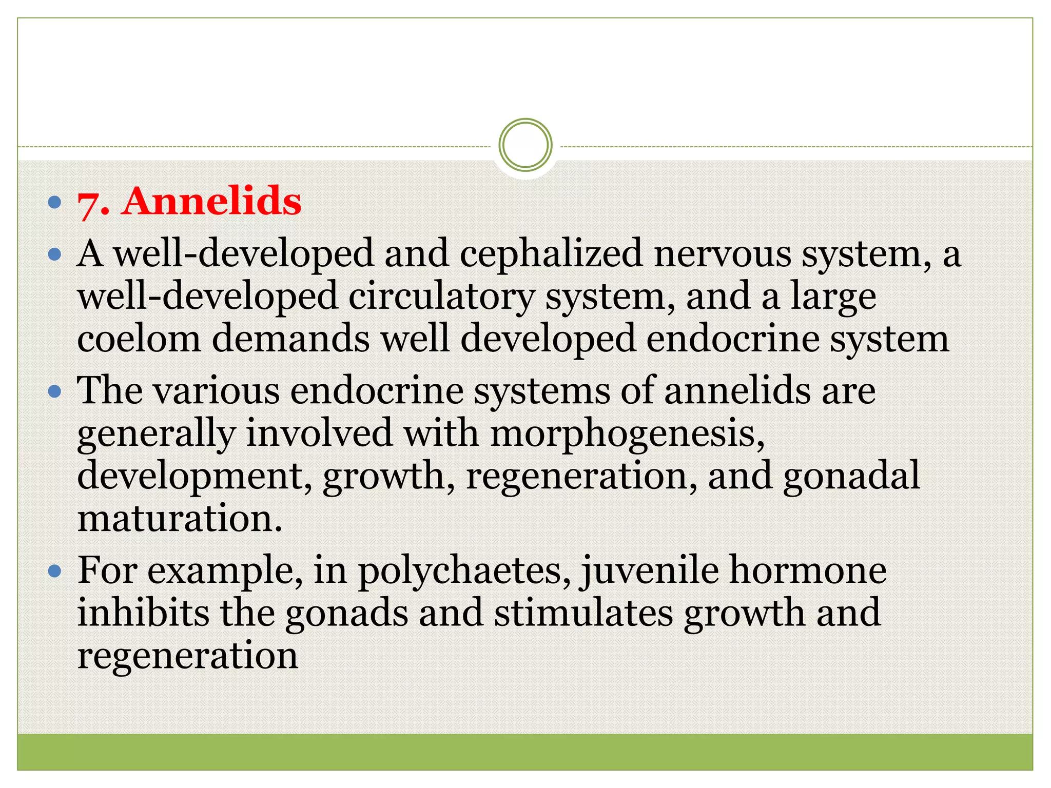 The Endocrine System and Chemical Messengers PPT