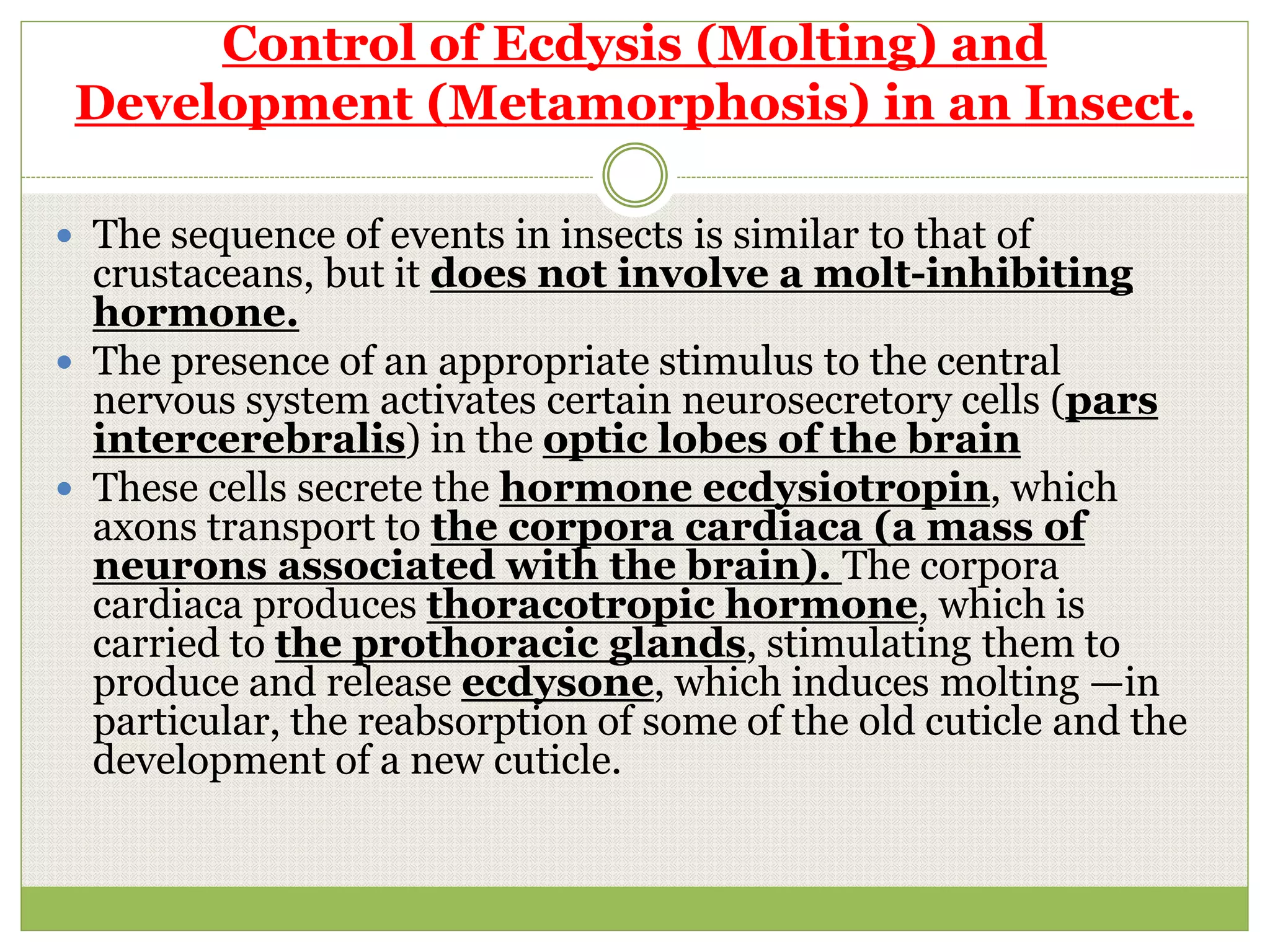 The Endocrine System and Chemical Messengers PPT