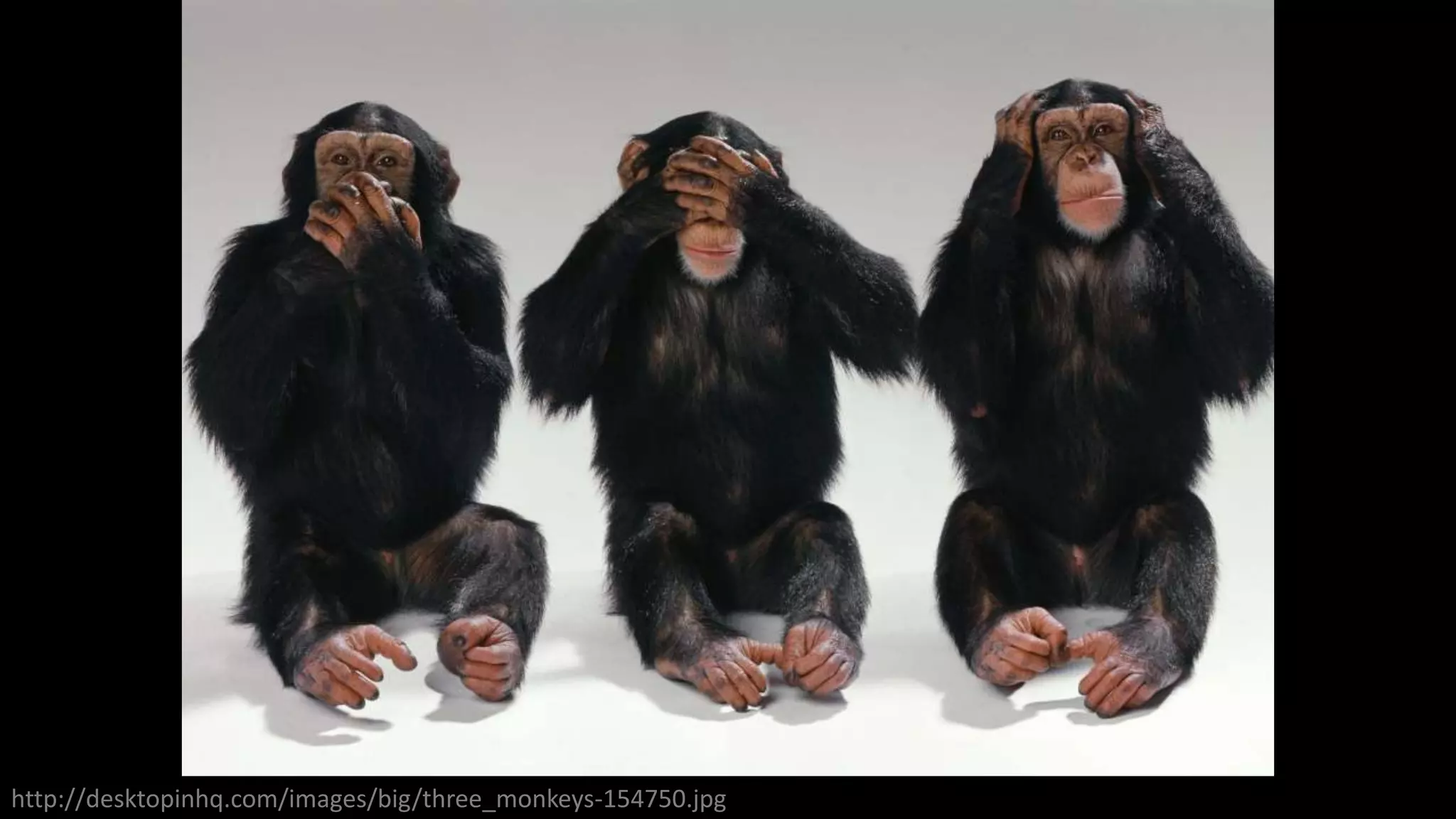 http://desktopinhq.com/images/big/three_monkeys-154750.jpg
 