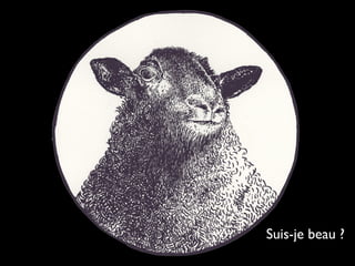 Suis-je beau ?
 