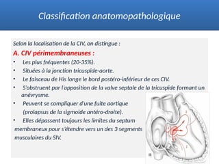 Selon la localisation de la CIV, on distingue :
A. CIV périmembraneuses :
• Les plus fréquentes (20-35%).
• Situées à la jonction tricuspide-aorte.
• Le faisceau de His longe le bord postéro-inférieur de ces CIV.
• S’obstruent par l’apposition de la valve septale de la tricuspide formant un
anévrysme.
• Peuvent se compliquer d’une fuite aortique
(prolapsus de la sigmoide antéro-droite).
• Elles dépassent toujours les limites du septum
membraneux pour s’étendre vers un des 3 segments
musculaires du SIV.
Classification anatomopathologique
 