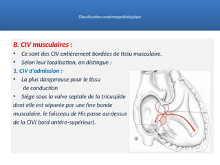 B. CIV musculaires :
• Ce sont des CIV entièrement bordées de tissu musculaire.
• Selon leur localisation, on distingue :
1. CIV d’admission :
• La plus dangereuse pour le tissu
de conduction
• Siège sous la valve septale de la tricuspide
dont elle est séparée par une fine bande
musculaire, le faisceau de His passe au-dessus
de la CIV( bord antéro-supérieur).
Classification anatomopathologique
 