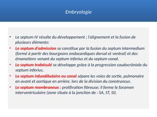 • Le septum IV résulte du développement ; l’alignement et la fusion de
plusieurs éléments:
• Le septum d’admission se constitue par la fusion du septum intermedium
(formé à partir des bourgeons endocardiques dorsal et ventral) et des
émanations venant du septum inferius et du septum conal.
• Le septum trabéculé se développe grâce à la progression caudocrâniale du
septum inferius.
• Le septum infundibulaire ou conal sépare les voies de sortie, pulmonaire
en avant et aortique en arrière, lors de la division du conotruncus.
• Le septum membraneux : prolifiration fibreuse; il ferme le foramen
interventriculaire (zone située à la jonction de : SA, ST, SI).
Embryologie
 