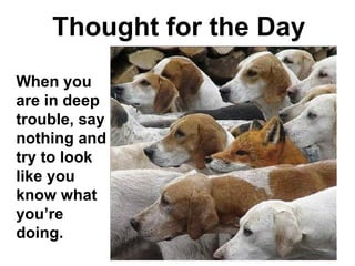 When you are in deep trouble, say nothing and try to look like you know what you’re doing. Thought for the Day 