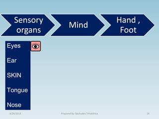 8/26/2013 16Prepared By: Bashudev Timalshina
Sensory
organs
Mind
Hand ,
Foot
Eyes
Ear
SKIN
Tongue
Nose
 