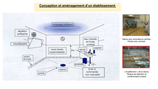 Conception et aménagement d’un établissement:
Résine avec remontées en plinthes
Pentes avec caniveau
« Ecaillement » de la résine,
Risque de rétention et
contamination produit
 