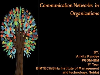 Communication Networks in
Organizations
BY:
Ankita Pandey
PGDM-IBM
1st Year
BIMTECH(Birla Institute of Management
and technology, Noida)
 