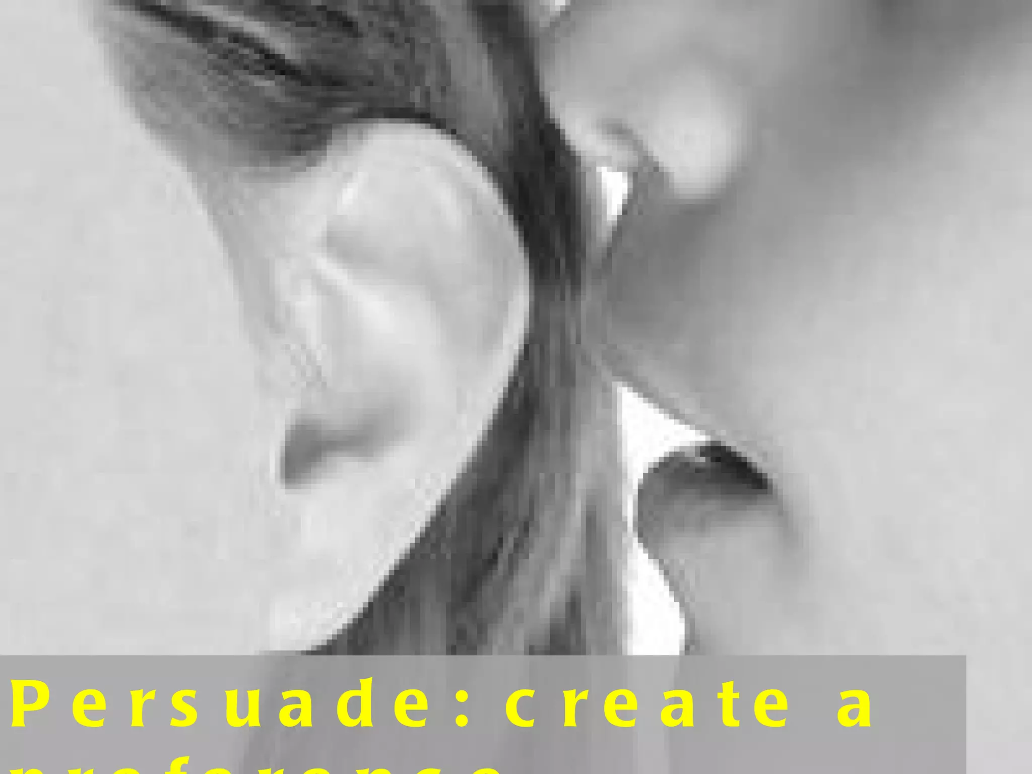 Persuade: create a preference 