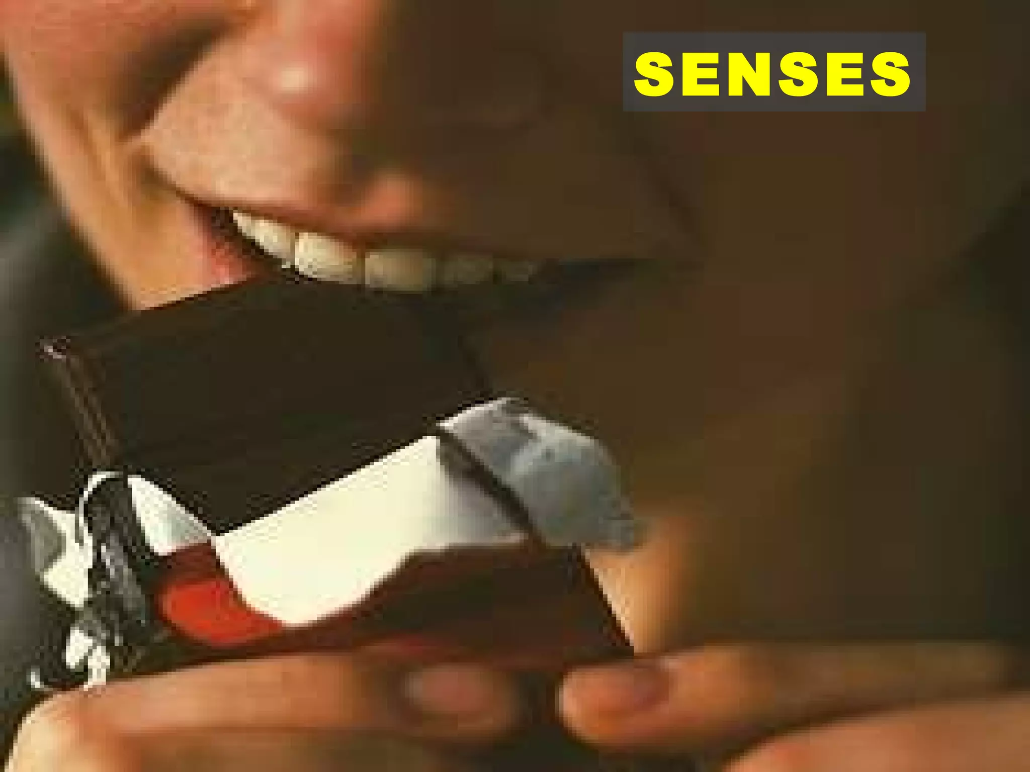SENSES 
