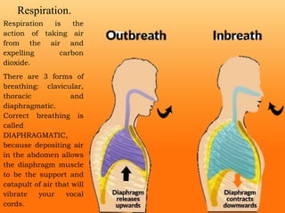 Respiration is the
action of taking air
from the air and
expelling carbon
dioxide.
There are 3 forms of
breathing: clavicular,
thoracic and
diaphragmatic.
Correct breathing is
called
DIAPHRAGMATIC,
because depositing air
in the abdomen allows
the diaphragm muscle
to be the support and
catapult of air that will
vibrate your vocal
cords.
Respiration.
 