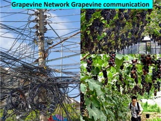 Grapevine Network Grapevine communication
 