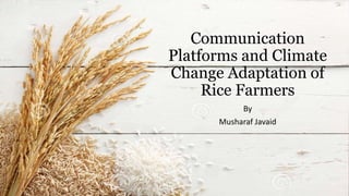 Communication
Platforms and Climate
Change Adaptation of
Rice Farmers
By
Musharaf Javaid
 