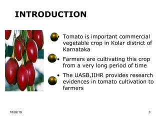 18/02/10 INTRODUCTION Tomato is important commercial vegetable crop in Kolar district of Karnataka Farmers are cultivating this crop from a very long period of time The UASB,IIHR provides research evidences in tomato cultivation to farmers 