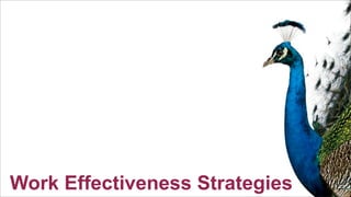 S

Work Effectiveness Strategies

 