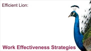 S

Efficient Lion:

Work Effectiveness Strategies

 