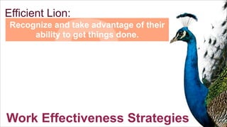 S

Efficient Lion:

Recognize and take advantage of their
ability to get things done.

Work Effectiveness Strategies

 