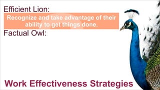 S

Efficient Lion:

Recognize and take advantage of their
ability to get things done.

Factual Owl:

Work Effectiveness Strategies

 