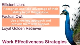 S

Efficient Lion:

Recognize and take advantage of their
ability to get things done.

Factual Owl:

Use a low-key approach and
provide them with support.

Loyal Golden Retriever:

Work Effectiveness Strategies

 