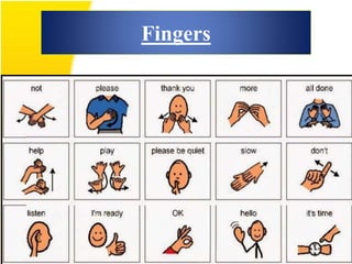 Fingers
 