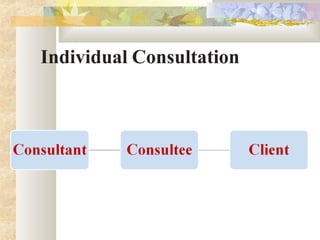 Individual Consultation
 