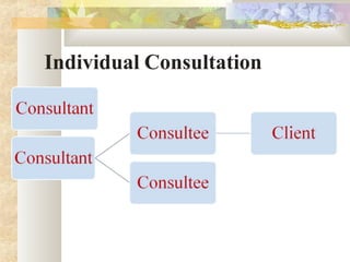 Individual Consultation
 