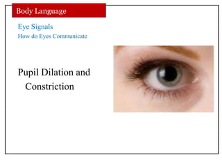 Eye Signals
How do Eyes Communicate
Pupil Dilation and
Constriction
Body Language
 