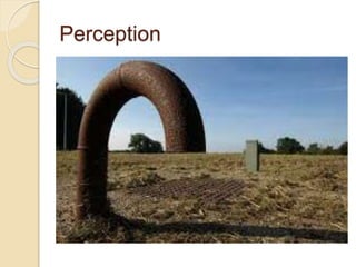 Perception
 