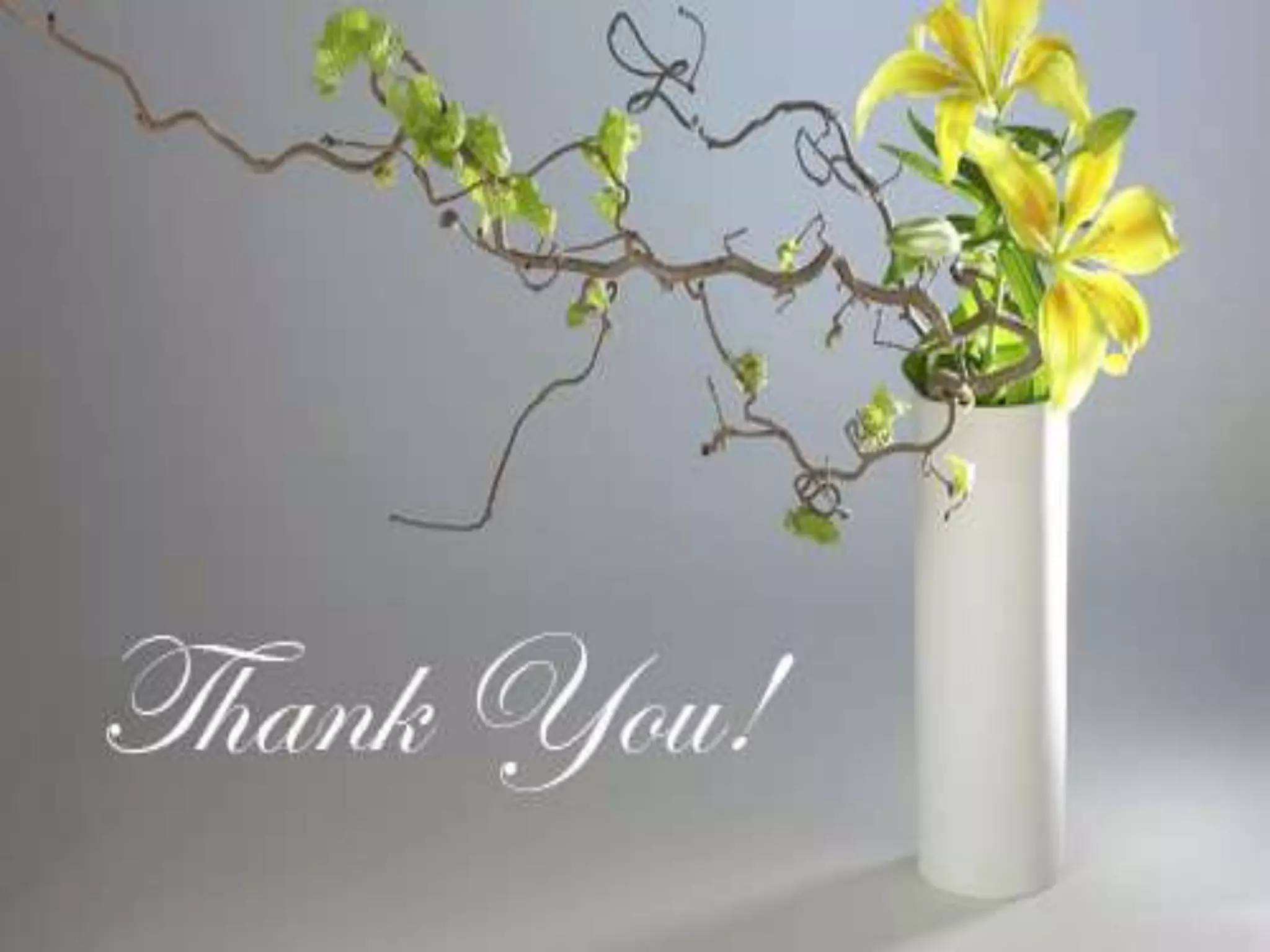 The Basics of Communication Skills 