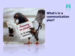 What’s in a
communication
plan?
 