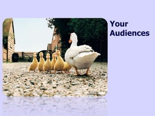 Your
Audiences
 