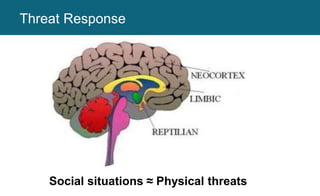 Social situations ≈ Physical threats
Threat Response
 
