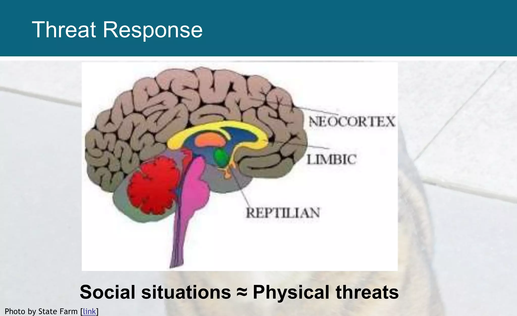 Photo by State Farm [link]
Social situations ≈ Physical threats
Threat Response
 