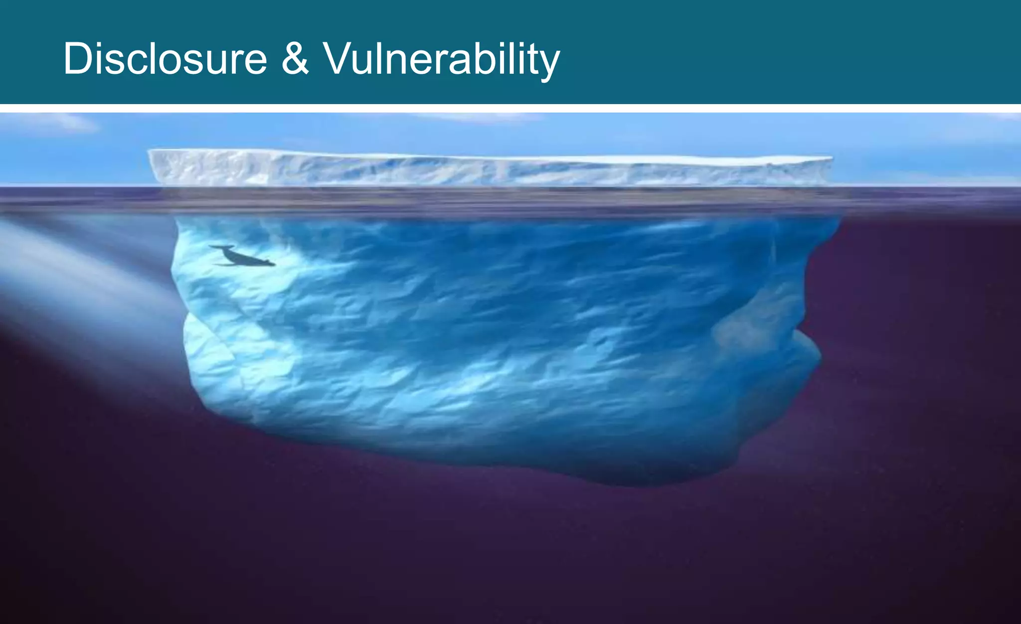 Disclosure & Vulnerability
 