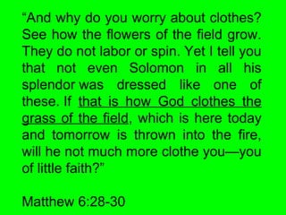 “And why do you worry about clothes?
See how the flowers of the field grow.
They do not labor or spin. Yet I tell you
that not even Solomon in all his
splendor was dressed like one of
these. If that is how God clothes the
grass of the field, which is here today
and tomorrow is thrown into the fire,
will he not much more clothe you—you
of little faith?”
Matthew 6:28-30
 