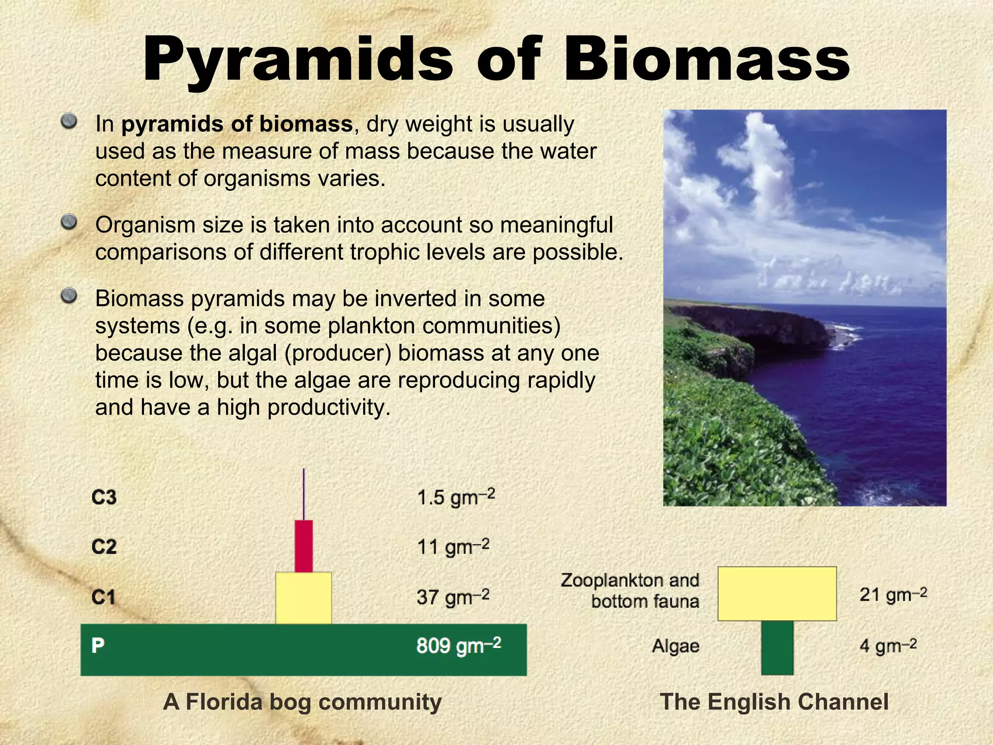 Pyramids of Biomass
In pyramids of biomass, dry weight is usually
used as the measure of mass because the water
content of organisms varies.
Organism size is taken into account so meaningful
comparisons of different trophic levels are possible.
Biomass pyramids may be inverted in some
systems (e.g. in some plankton communities)
because the algal (producer) biomass at any one
time is low, but the algae are reproducing rapidly
and have a high productivity.

A Florida bog community

The English Channel

 
