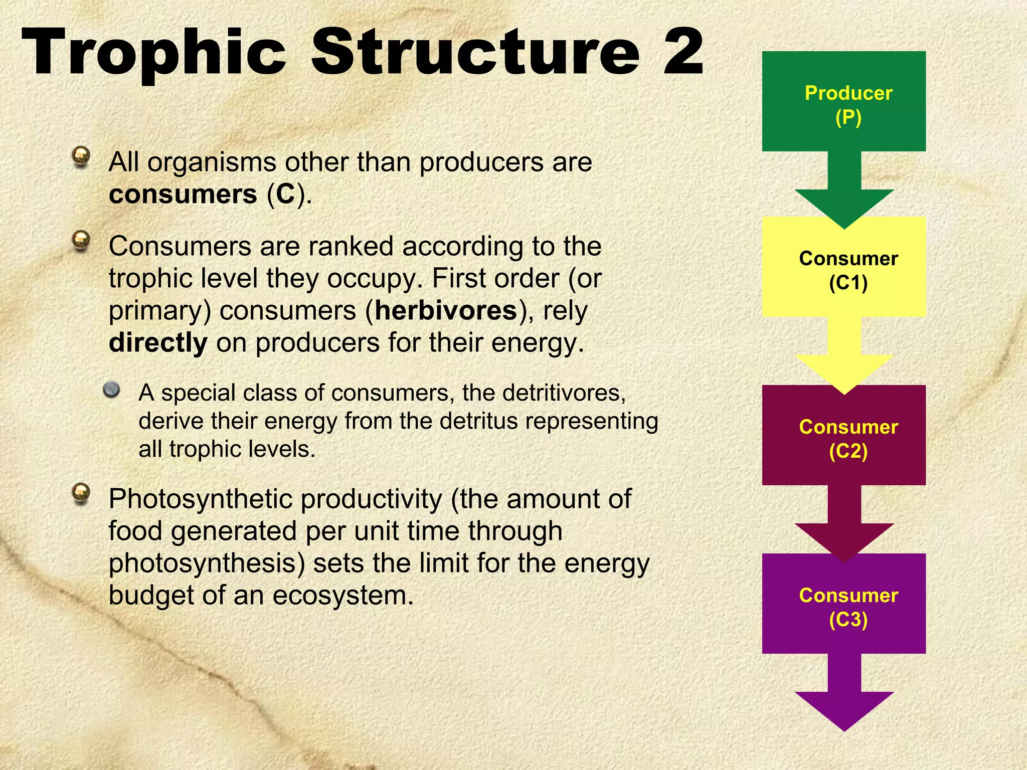 Trophic Structure 2

Producer
(P)

All organisms other than producers are
consumers (C).
Consumers are ranked according to the
trophic level they occupy. First order (or
primary) consumers (herbivores), rely
directly on producers for their energy.
A special class of consumers, the detritivores,
derive their energy from the detritus representing
all trophic levels.

Photosynthetic productivity (the amount of
food generated per unit time through
photosynthesis) sets the limit for the energy
budget of an ecosystem.

Consumer
(C1)

Consumer
(C2)

Consumer
(C3)

 