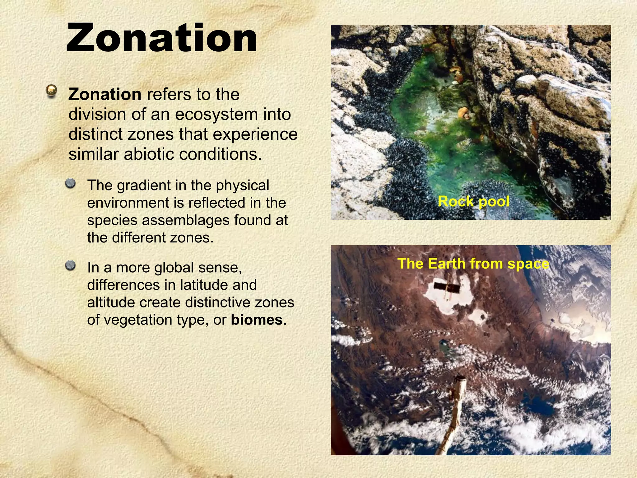 Zonation
Zonation refers to the
division of an ecosystem into
distinct zones that experience
similar abiotic conditions.
The gradient in the physical
environment is reflected in the
species assemblages found at
the different zones.
In a more global sense,
differences in latitude and
altitude create distinctive zones
of vegetation type, or biomes.

Rock pool

The Earth from space

 