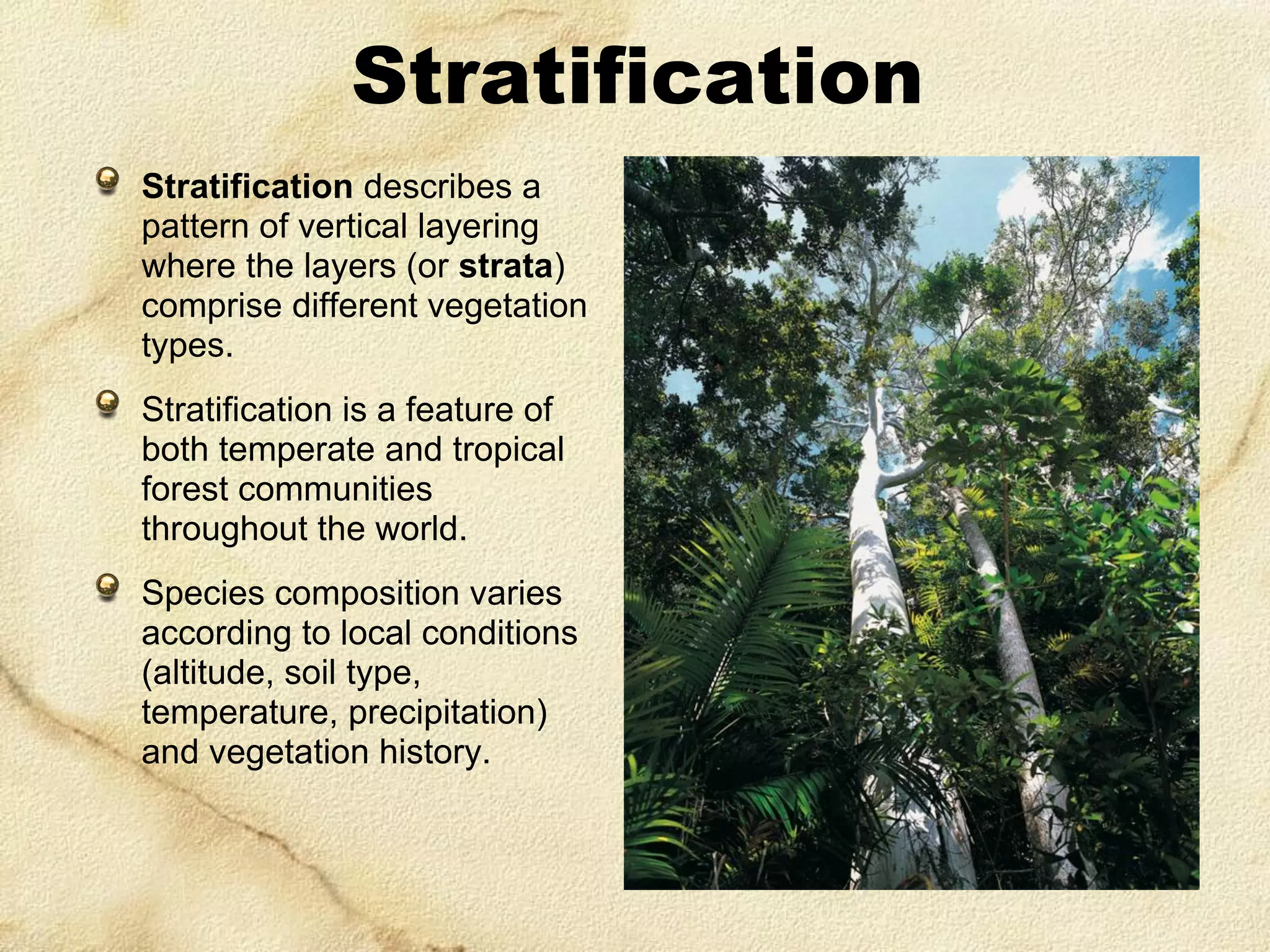 Stratification
Stratification describes a
pattern of vertical layering
where the layers (or strata)
comprise different vegetation
types.
Stratification is a feature of
both temperate and tropical
forest communities
throughout the world.
Species composition varies
according to local conditions
(altitude, soil type,
temperature, precipitation)
and vegetation history.

 