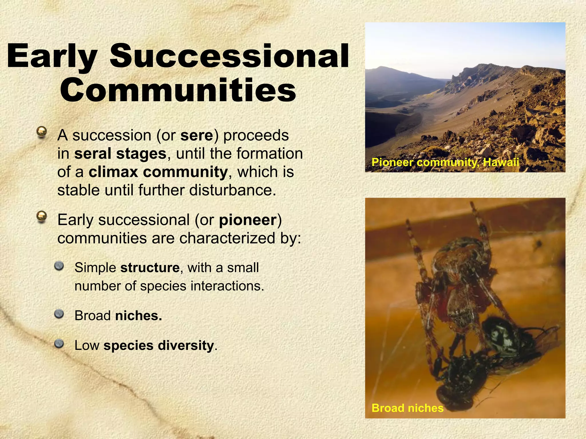 Early Successional
Communities
A succession (or sere) proceeds
in seral stages, until the formation
of a climax community, which is
stable until further disturbance.

Pioneer community, Hawaii

Early successional (or pioneer)
communities are characterized by:
Simple structure, with a small
number of species interactions.
Broad niches.
Low species diversity.

Broad niches

 