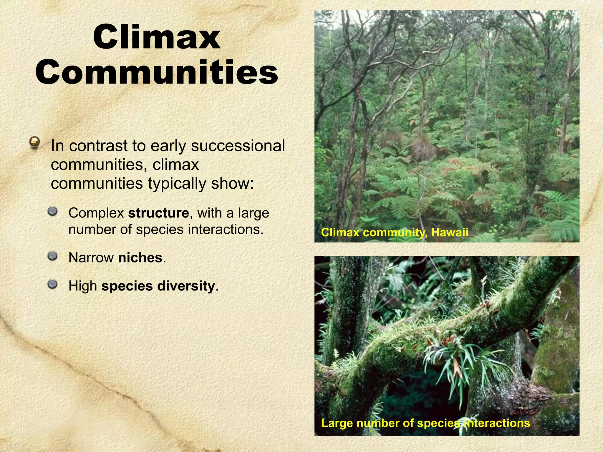 Climax
Communities
In contrast to early successional
communities, climax
communities typically show:
Complex structure, with a large
number of species interactions.

Climax community, Hawaii

Narrow niches.
High species diversity.

Large number of species interactions

 