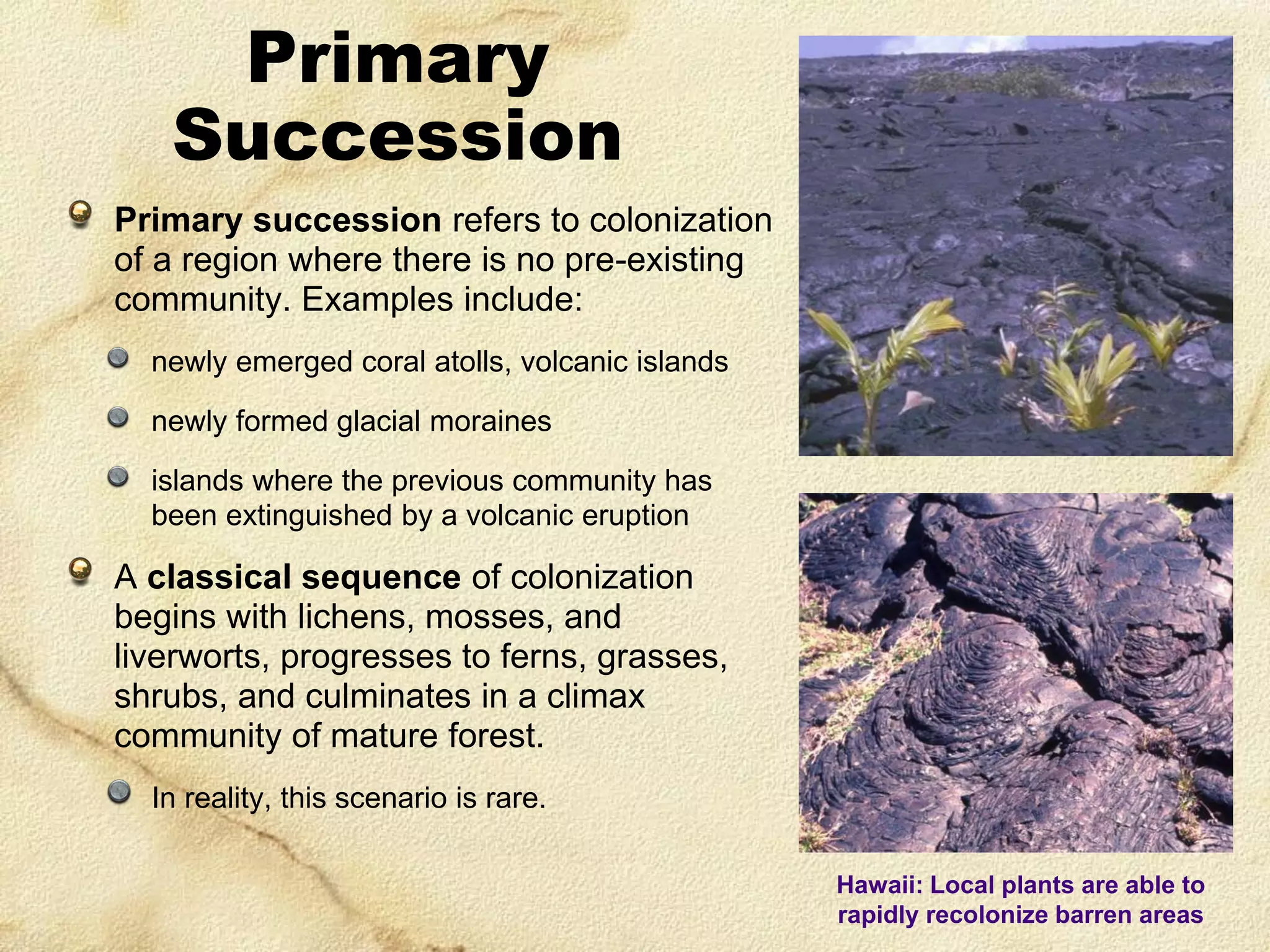 Primary
Succession
Primary succession refers to colonization
of a region where there is no pre-existing
community. Examples include:
newly emerged coral atolls, volcanic islands
newly formed glacial moraines
islands where the previous community has
been extinguished by a volcanic eruption

A classical sequence of colonization
begins with lichens, mosses, and
liverworts, progresses to ferns, grasses,
shrubs, and culminates in a climax
community of mature forest.
In reality, this scenario is rare.
Hawaii: Local plants are able to
rapidly recolonize barren areas

 