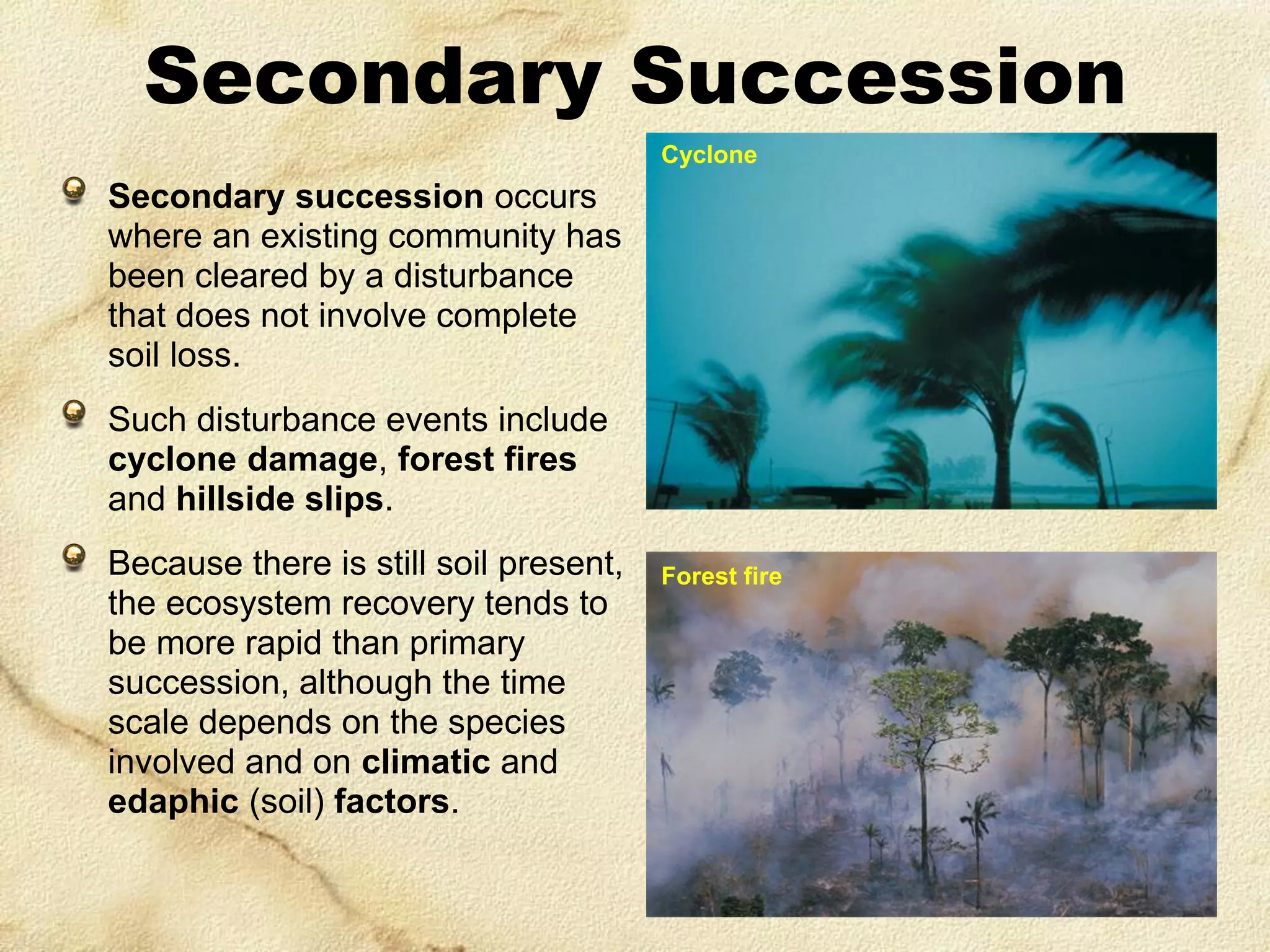 Secondary Succession
Cyclone

Secondary succession occurs
where an existing community has
been cleared by a disturbance
that does not involve complete
soil loss.
Such disturbance events include
cyclone damage, forest fires
and hillside slips.

Because there is still soil present,
the ecosystem recovery tends to
be more rapid than primary
succession, although the time
scale depends on the species
involved and on climatic and
edaphic (soil) factors.

Forest fire

 