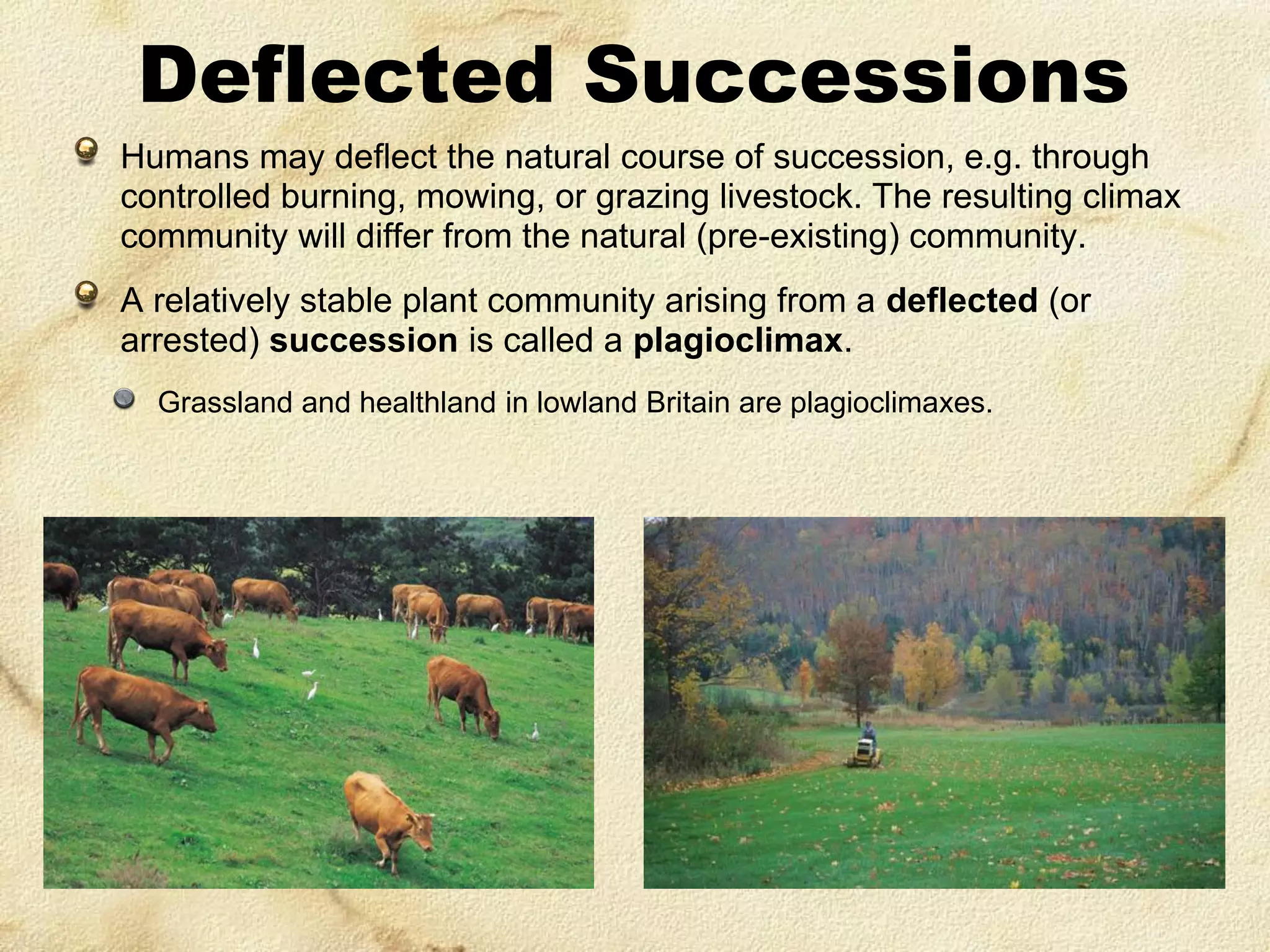 Deflected Successions
Humans may deflect the natural course of succession, e.g. through
controlled burning, mowing, or grazing livestock. The resulting climax
community will differ from the natural (pre-existing) community.
A relatively stable plant community arising from a deflected (or
arrested) succession is called a plagioclimax.
Grassland and healthland in lowland Britain are plagioclimaxes.

 